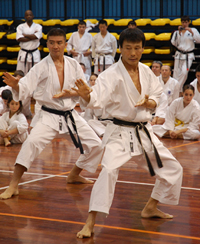 kwf karate