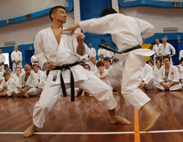 yahara karate